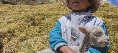 壹号娱乐电竞英雄联盟赛事直播界面